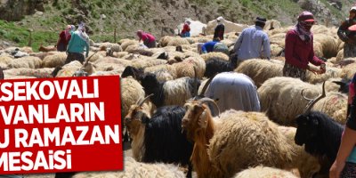 Yüksekovalı Berivan'ların zorlu Ramazan mesaisi