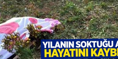 Yılanın soktuğu adam öldü