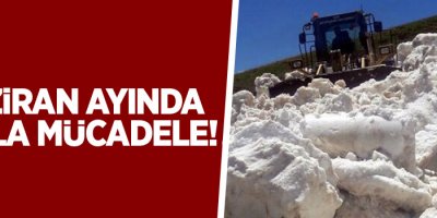 Haziran ayında karla mücadele!