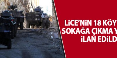 Lice’nin 18 köyünde sokağa çıkma yasağı ilan edildi