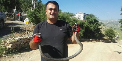 Su deposuna düşen yılanı kurtarma operasyonu