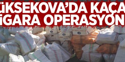 195 bin paket kaçak sigara ele geçirildi