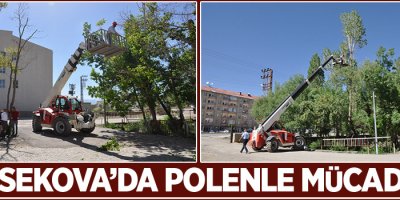 Yüksekova'da polenle mücadele