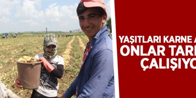 Yaşıtları karne alırken onlar tarlada çalışıyor