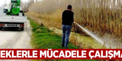  Erciş Belediyesi'nden sineklerle mücadele çalışması