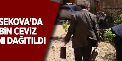 Yüksekova'da 10 bin ceviz fidanı dağıtıldı