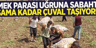 Ekmek parası uğruna sabahtan akşama kadar çuval taşıyorlar