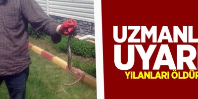 Gördüğünüz yılanları öldürmeyin