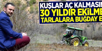 Kuşlar aç kalmasın diye 6 yıldır buğday ekiyor