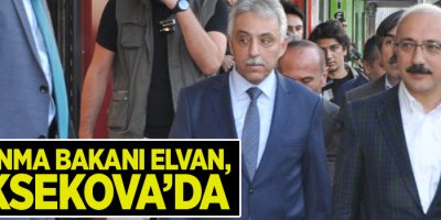 Bakan Elvan, Yüksekova'da iftar programına katıldı