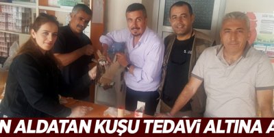 Çoban aldatan kuşu tedavi altına alındı