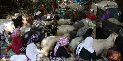 Berivanların zorlu bayram mesaisi