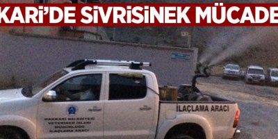 Hakkari'de sivrisinek, haşerelerle mücadele çalışması