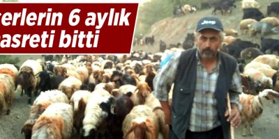 Göçerlerin 6 aylık hasreti bitti
