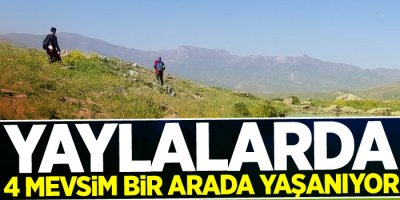 Hakkari'deki yaylalarda 4 mevsim bir arada yaşanıyor