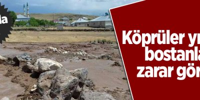 Van’da sel! Köprüler yıkıldı, bostanlar zarar gördü