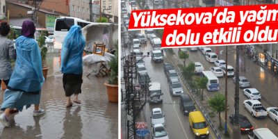 Yüksekova'da yağmur ve dolu etkili oldu