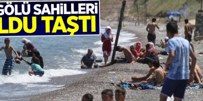 Van Gölü sahilleri doldu taştı