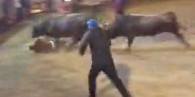 Rakibine yenilen boğa kaçarken 1 kişiyi yaraladı