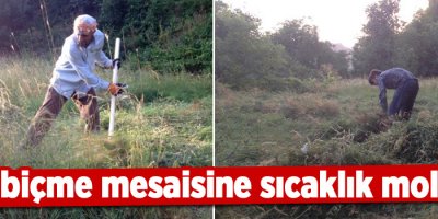 Ot biçme mesaisine sıcaklık molası
