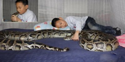 Zhei'nin en iyi arkadaşı piton yılanı