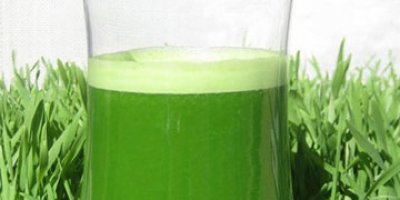 'Bylock' operasyonunda 9 tutuklama