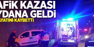 Kamyonet küçük kız öğrencilerin arasına daldı: 2 ölü, 16 yaralı