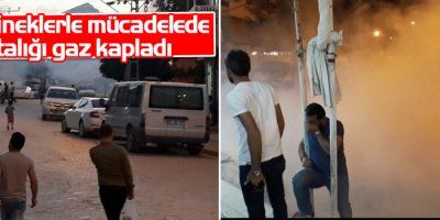 Sivrisineklerle mücadelede ortalığı gaz kapladı