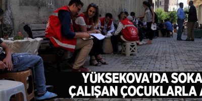 Yüksekova'da sokakta çalışan çocuklarla anket
