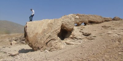 Başkale’de canavara benzeyen taş ilgi odağı oldu