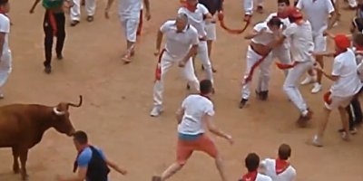 Boğayı bırakıp adama saldırdılar