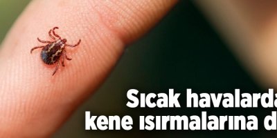 Sıcak havalarda kene ısırmalarına dikkat