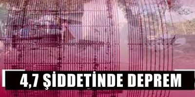 Çin'de 4,7 şiddetinde deprem