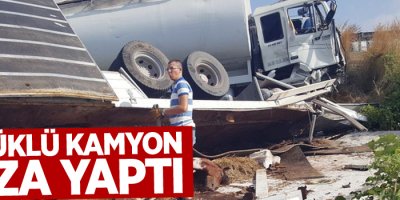 Antalya'dan Van'a gelen at yüklü kamyon kaza yaptı: 2 yaralı