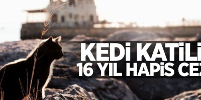 'Seri kedi katiline' 16 yıl hapis cezası