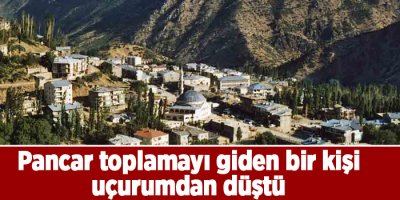 Pancar toplamayı giden bir kişi uçurumdan düştü