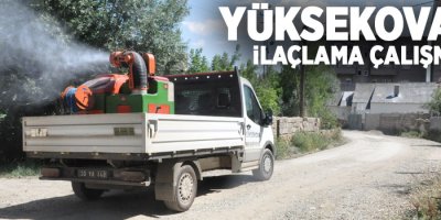 Yüksekova'da ilaçlama çalışması