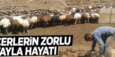 Göçerlerin zorlu yayla hayatı