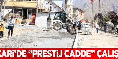 Hakkari'de 'Prestij Caddesi' çalışmaları