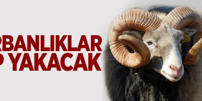 Kurbanlıklar cep yakacak
