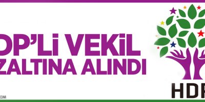 HDP’li vekil Mizgin Irgat gözaltına alındı
