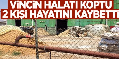 Vincin halatı koptu: 2 ölü, 4 ağır yaralı