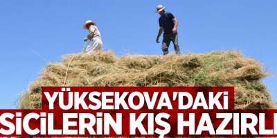 Yüksekova'daki besicilerin kış hazırlığı