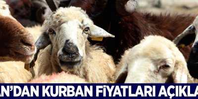 Bakan’dan kurban fiyatları açıklaması: Müsaade etmem