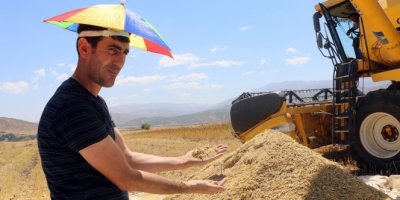 İlk kez ekti, 400 bin lira gelir bekliyor