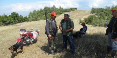 Çiftçiler domuzlardan şikâyetçi