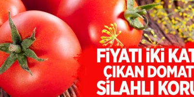 Fiyatı iki katına çıkan domatese silahlı koruma