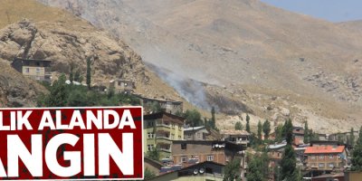 Kayalık alanda yangın