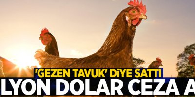 'Gezen tavuk' diye sattı, 1 milyon dolar ceza aldı