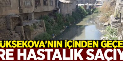 Yüksekova'nın içinden geçen dere hastalık saçıyor